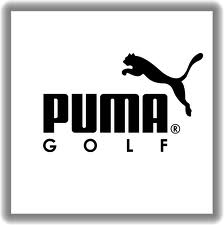 Puma Men's Cloudspun  Colourblock Quarter Zip, Red